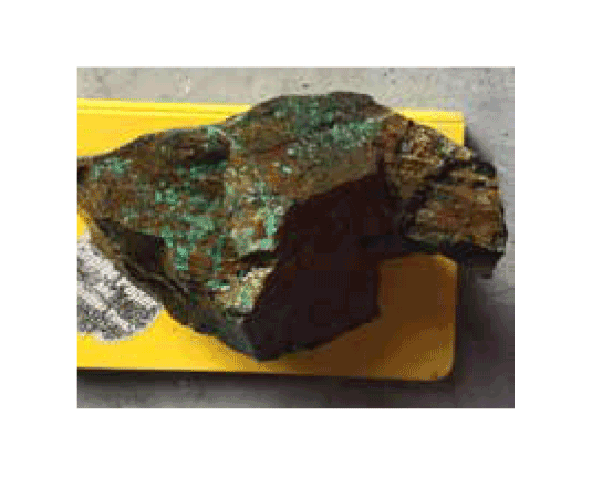 the-prospector-july-2024